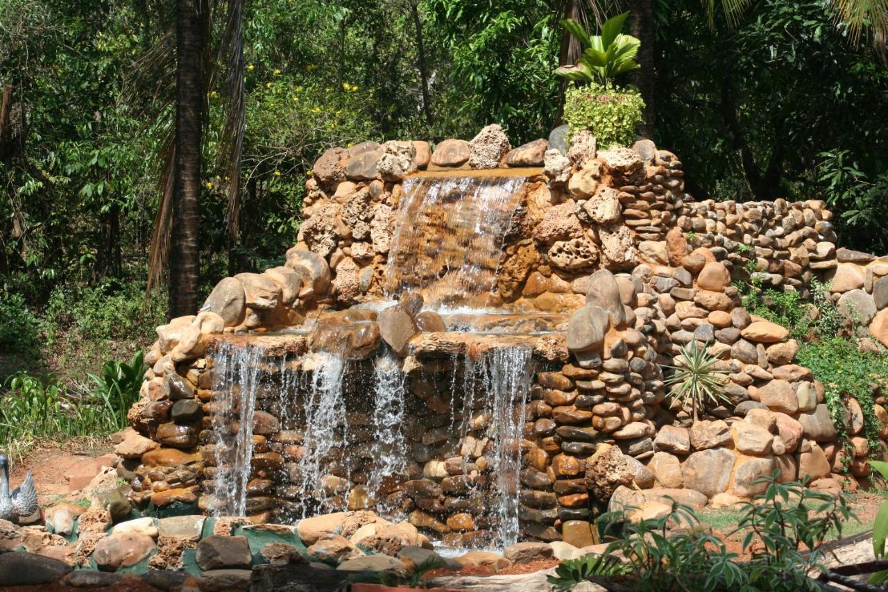 The Enchanting Nest Borim Exterior foto